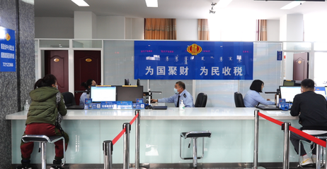 爛漫稅宣月 黨員先鋒便民辦稅“春風送達”